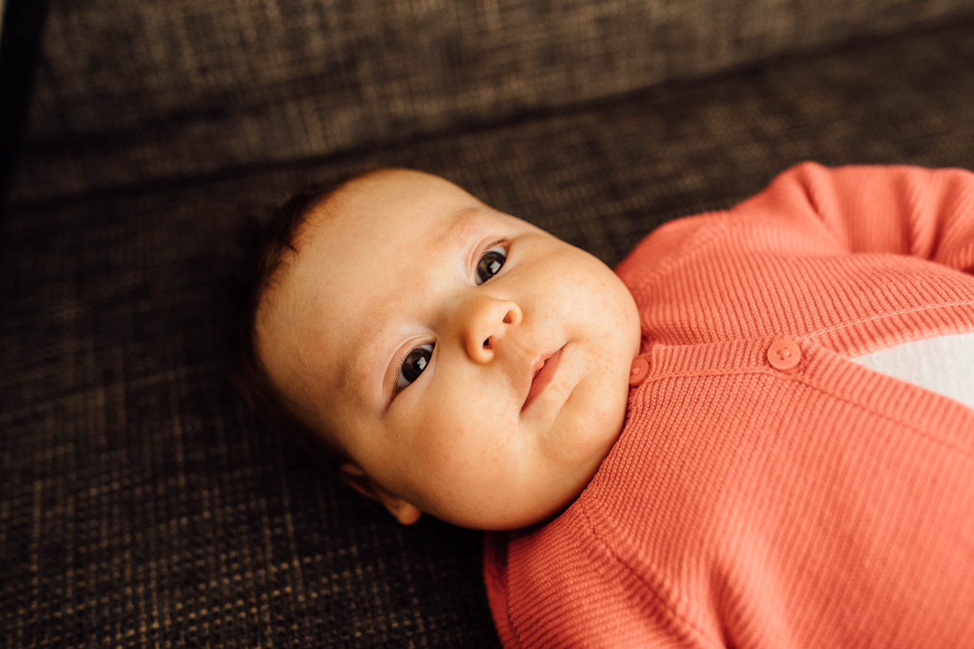 Export x3 5D4 0442 Familyfotoshooting 2020 Rossbach